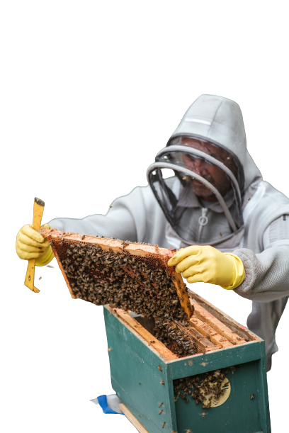 pexels-anete-lusina-5247966-removebg-preview